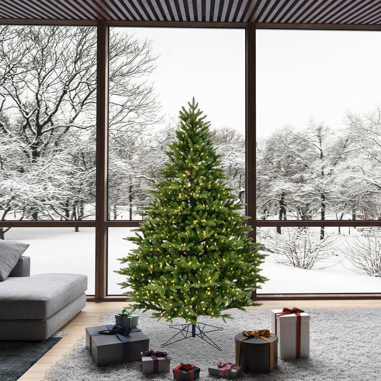 Christmas Tree 6.5' & Greenery Set Douglas Fir with Clear/White Lights
