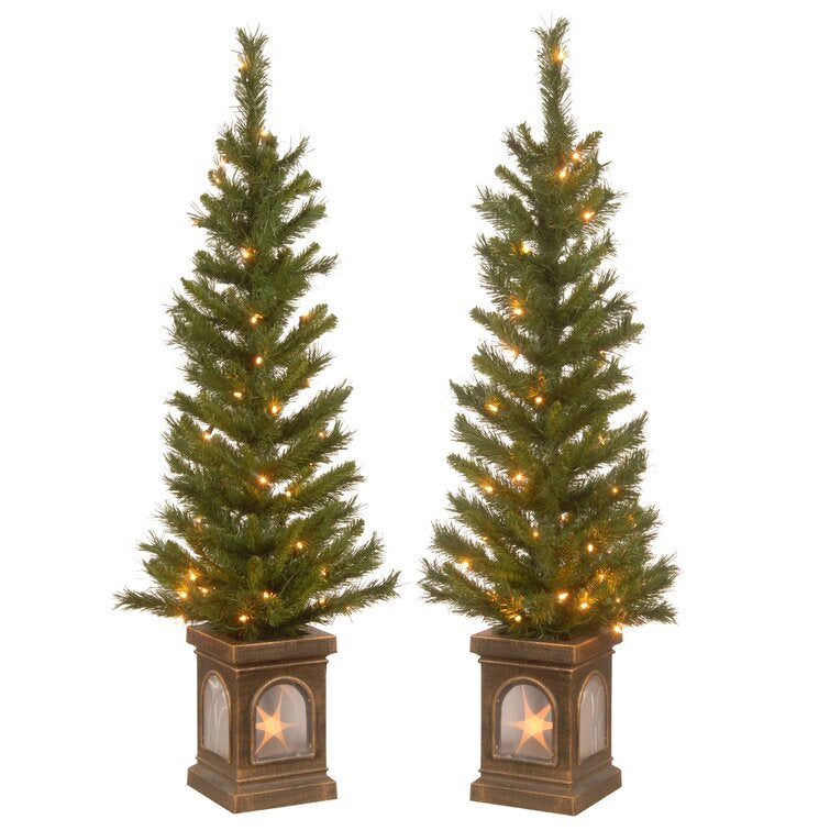 Entrance 4' Green Pine Artificial Christmas Tree with 50 Clear/White Lights (Set of 2)