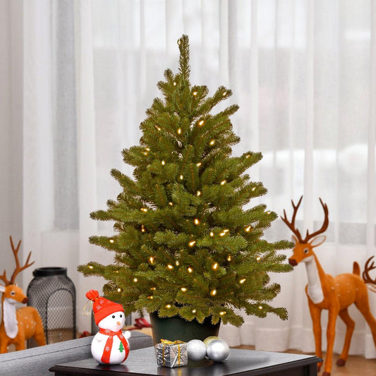 Hampton 3' Green Spruce Artificial Christmas Tree with 100 Clear/White Lights