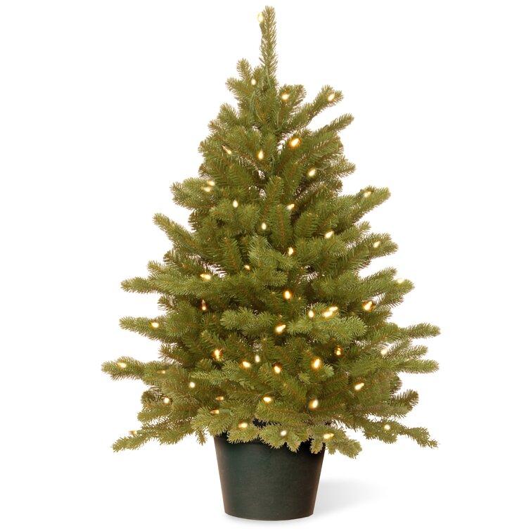 Hampton 3' Green Spruce Artificial Christmas Tree with 100 Clear/White Lights
