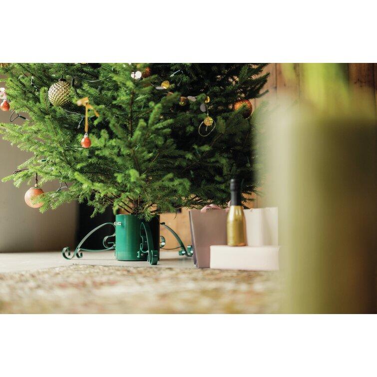 Romantic Live Tree Stand