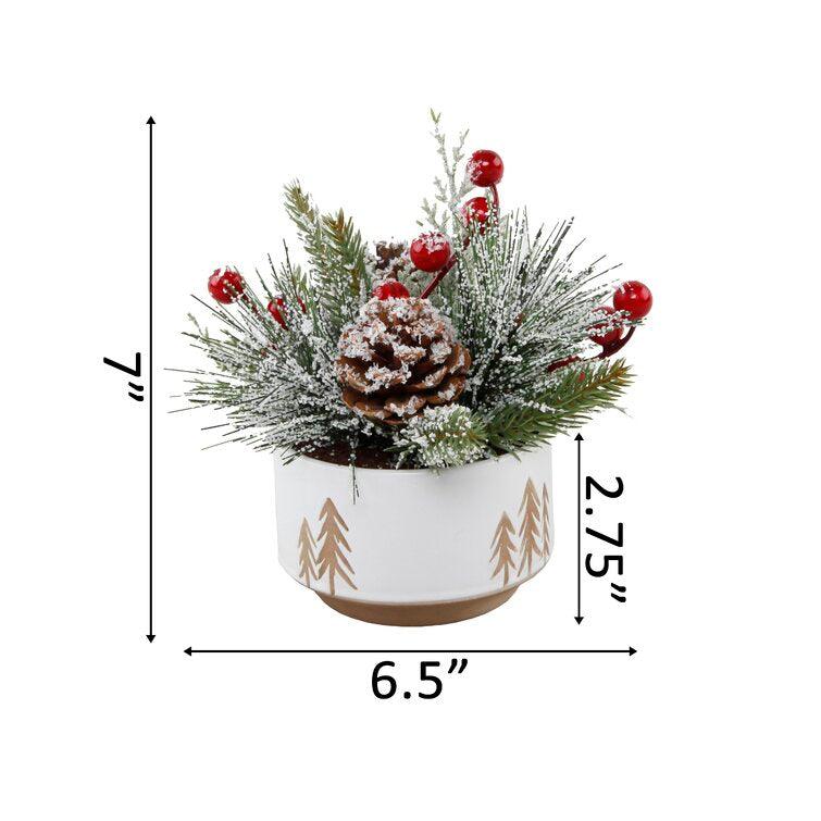 Xmas Mixed Floral Arrangement in Pot