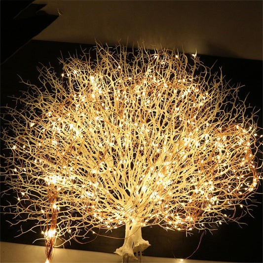 LED Copper wire Fairy String Lights