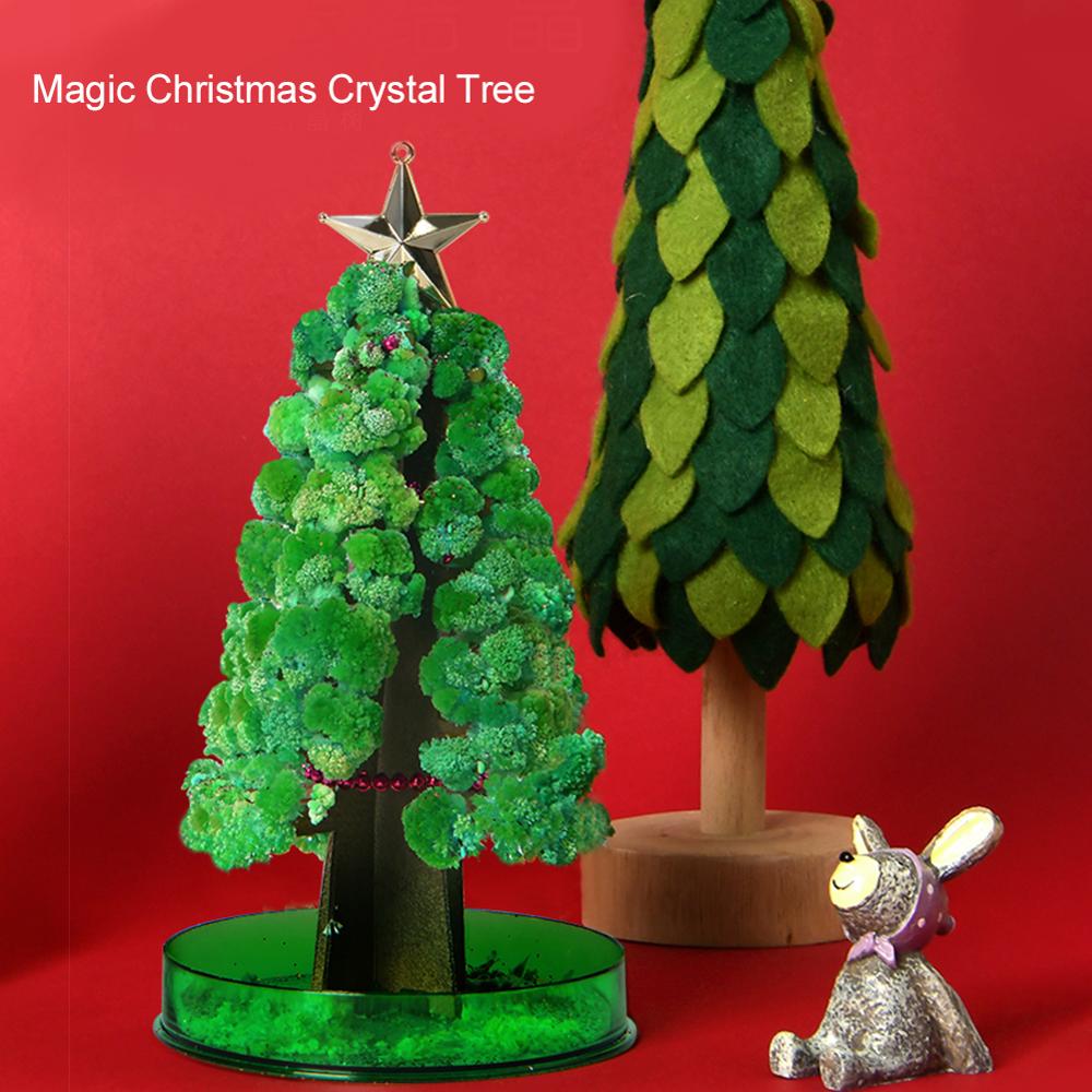 Magic Growing Christmas Tree Plants DIY Magic Growing Tree