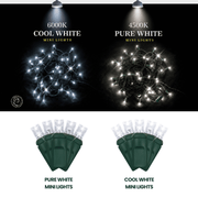 LED Mini Lights 5MM Cool White Twinkle Green Wire  6" Spacing