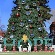 Hope Outdoor Nativity Set