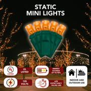 LED Mini Lights 5MM Orange Static Green Wire - 6" Spacing