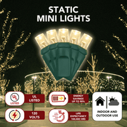 LED Mini Lights 5MM Warm White Static Green Wire 4" Spacing
