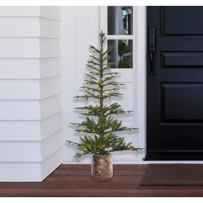 60" Lighted Artificial Fir Christmas Tree with 150 LED Lights & Potted Stand - Christmas Trees USA