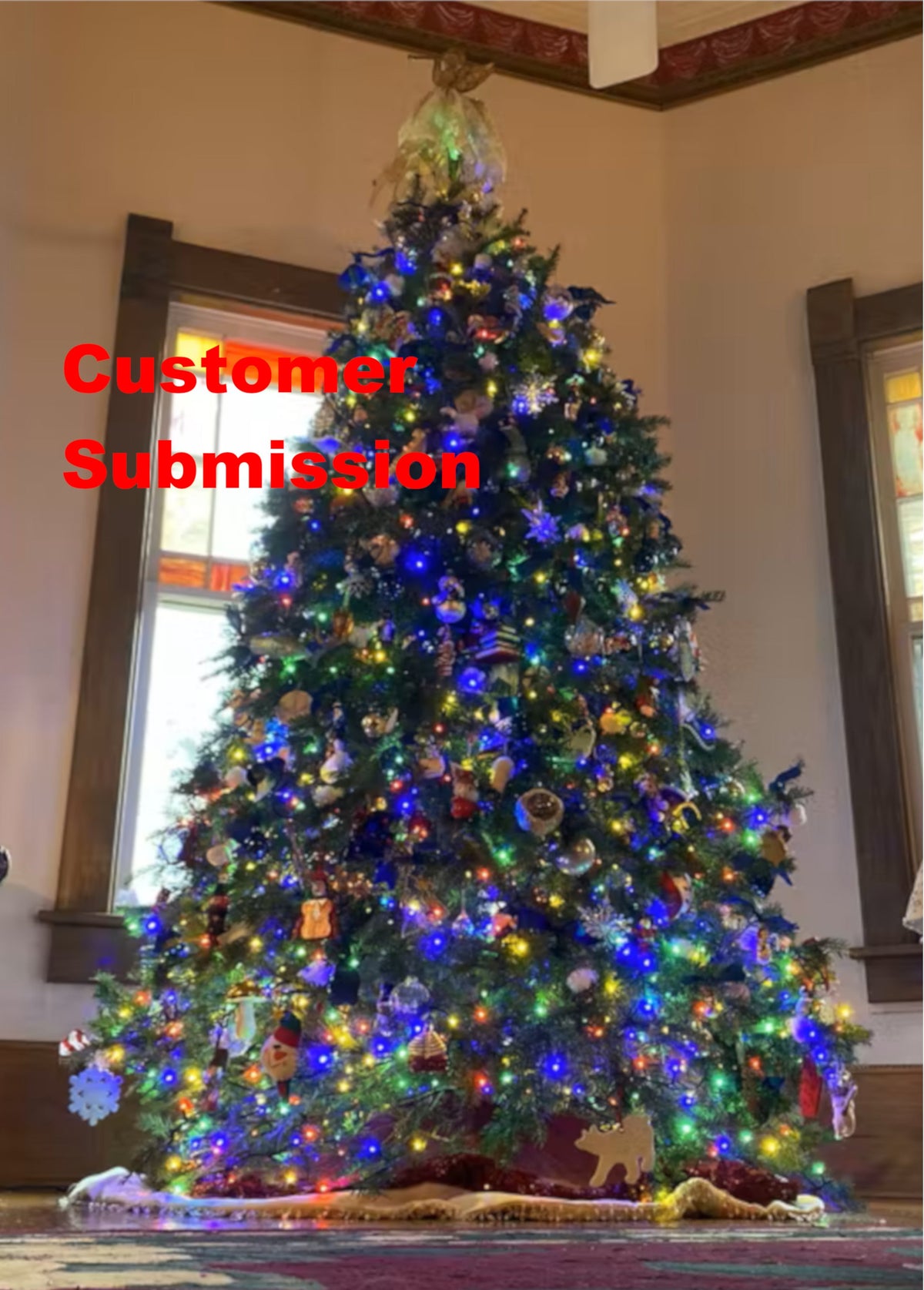 8 ft Fresh Balsam Fir Christmas Tree
