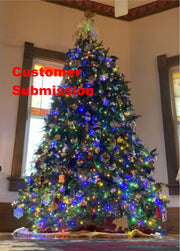 8 ft Fresh Balsam Fir Christmas Tree