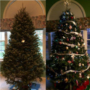 8 ft Fresh Balsam Fir Christmas Tree