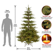 7.5' Lighted Artificial Fir Christmas Tree – 450 Warm White Lights, 2282 Tips - Christmas Trees USA