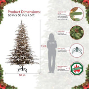 7.5' Lighted Artificial Fir Christmas Tree – 1319 Tips, 700 Clear Lights, Flocked - Christmas Trees USA