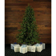 7.5' Lighted Foxtail Pine Artificial Christmas Tree with 900 Clear LED Lights - Christmas Trees USA