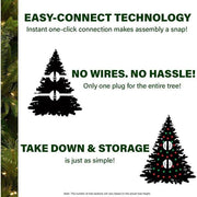 7.5' Lighted Foxtail Pine Artificial Christmas Tree with 900 Clear LED Lights - Christmas Trees USA