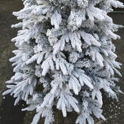 White Branchers Snow Pine Christmas Tree