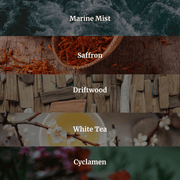 Beach Bungalow Candle 10.6 oz – Marine Air, Driftwood & White Tea