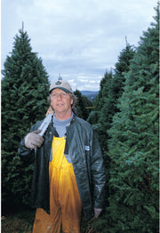 Real Christmas Trees Delivered 6 Foot Premium Balsam Fir Christmas Tree