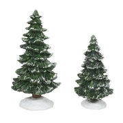 Christmas Spruce Trees - Set of 2
