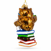 Love to Read Wise Owl with Books Glass Christmas Ornament