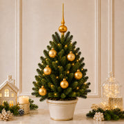 Set of 6 Matte Gold Glass Ball Christmas Ornaments 2.4 Inches