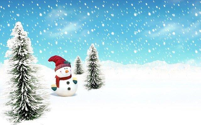 Christmas Funny Snowman Canvas Print Wall Painting - Christmas Trees USA