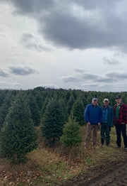 Real Christmas Trees Delivered 5 Foot Premium Balsam Fir Christmas Tree