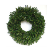 6 Pack Plain Balsam Fir Wreaths