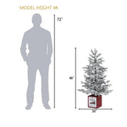 48'' Lighted Artificial Fir Christmas Tree