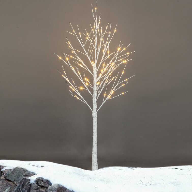 Birch Snow Lighted Trees and Branches