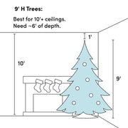 Douglas Fir Christmas Tree with White Lights