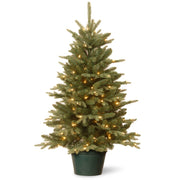 Evergreen 3' Green Pine Artificial Christmas Tree with 100 Clear Lights