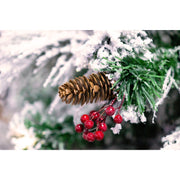 Fiber Optic Snow 6' White Pine Christmas Tree