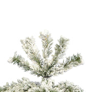 Flocked Pacific 5.5' White Pine Artificial Christmas Tree