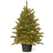 Hampton 3' Green Spruce Artificial Christmas Tree with 100 Clear/White Lights