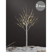 Lighted Trees & Branches