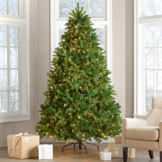 Newberry Spruce 90'' Lighted Artificial Spruce Christmas Tree