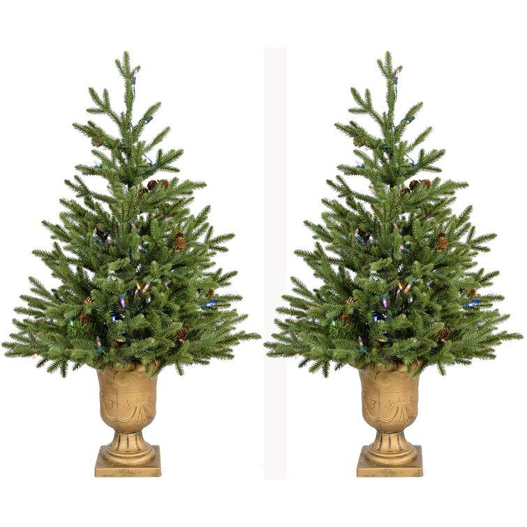 Noble 3' Green Fir Artificial Christmas Tree with 159 Multi-Colored Lights with Metallic Urn Base (Set of 2)
