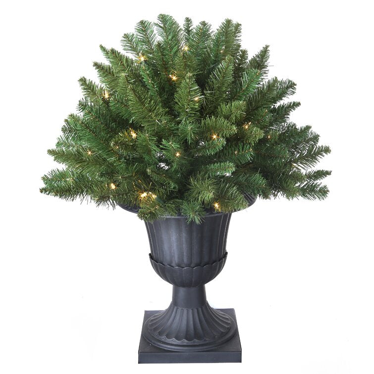 Potted 24" Green Fir Artificial Christmas Tree with 50 Clear/White Lights (Set of 2)