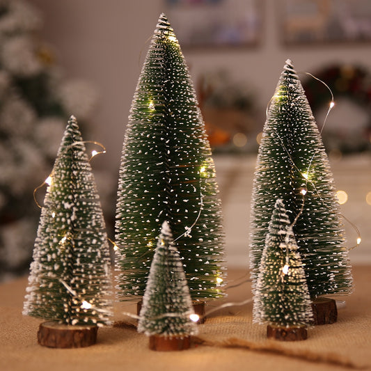 Small Cedar Pine for Home Christmas Tree - Christmas Trees USA