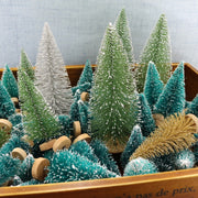Small Christmas Pine Tree